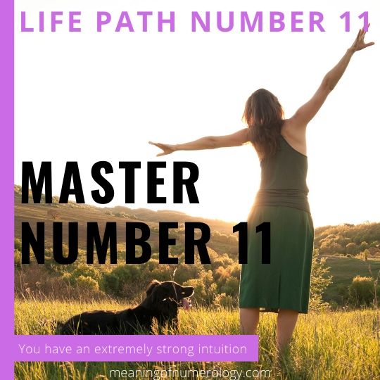 life path number 11 meaning