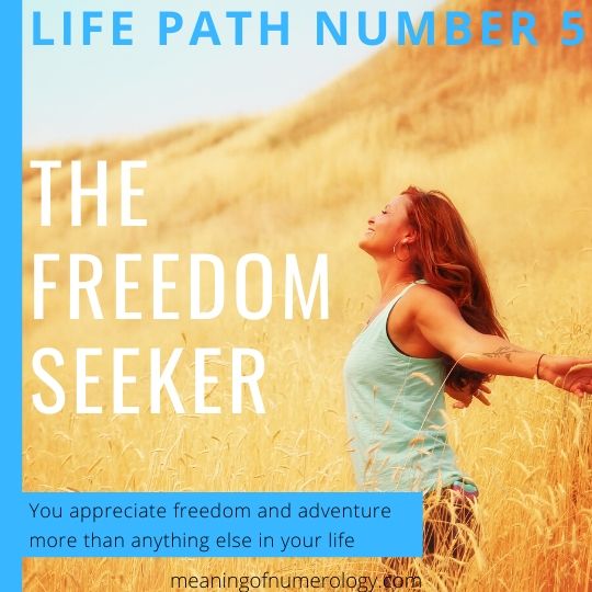life path number 5 meaning