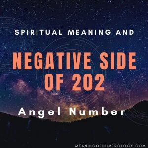 spiritual meaning and negative side of 202 angel number