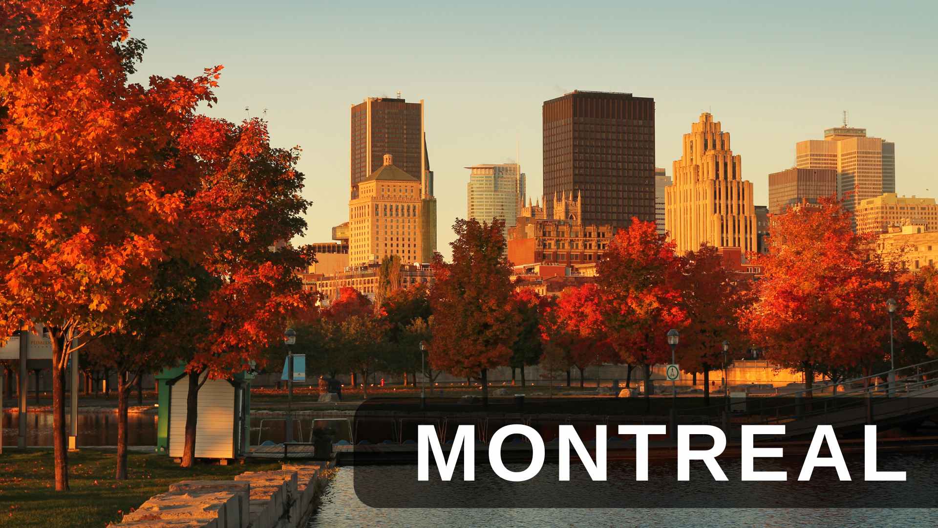 A Numerology Guide to Finding Your Ideal City Montreal